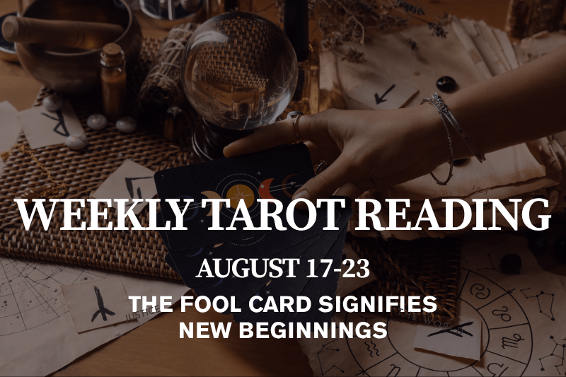 weekly tarot reading August with the Fool showing an open doorway into bright summer light